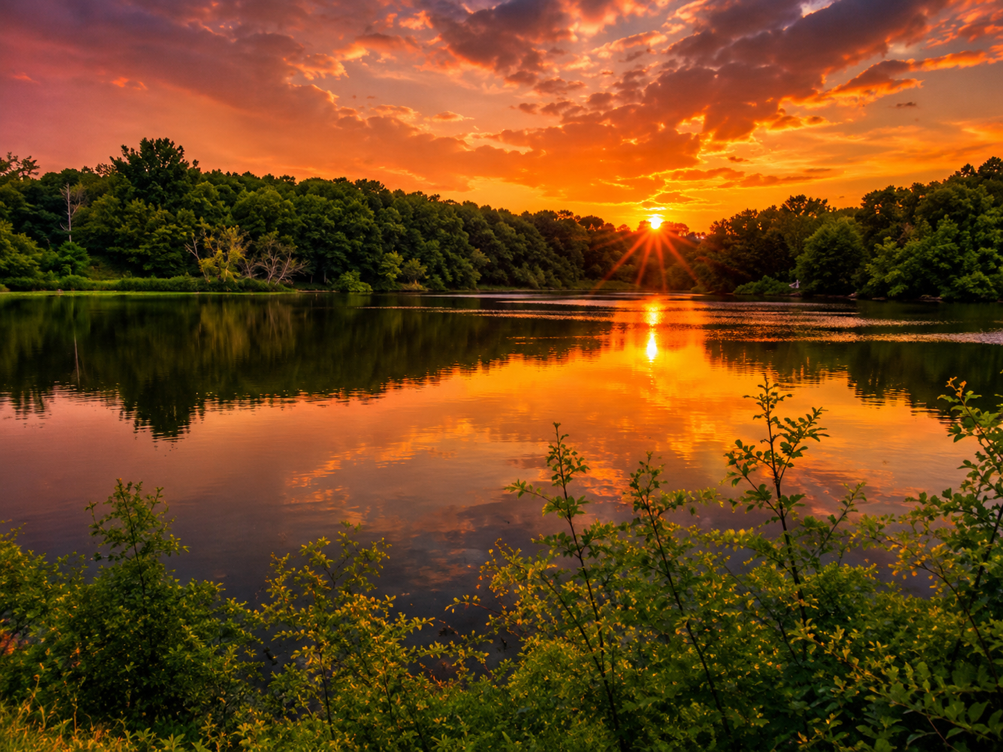 Where Cleveland Breathes: The Legal, Environmental, and Strategic Future of Shaker Lakes